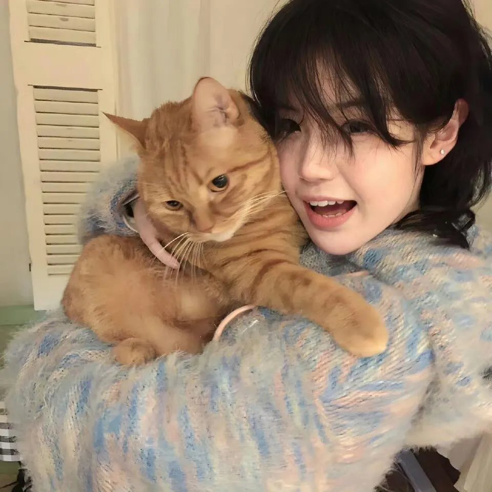 维京传奇第六季